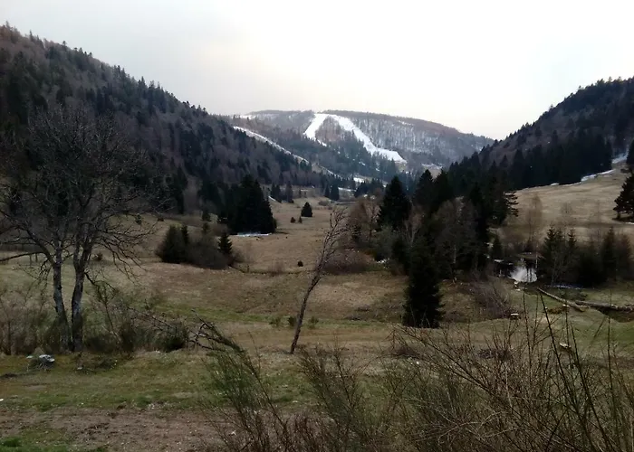 Les Feignes Cerfdore * La Bresse